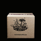 WS Box of 10 Bottles